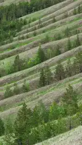 Нурали - 18