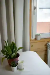 Виктория - 58