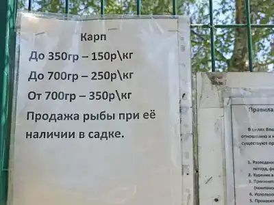 Три Пескаря - 4