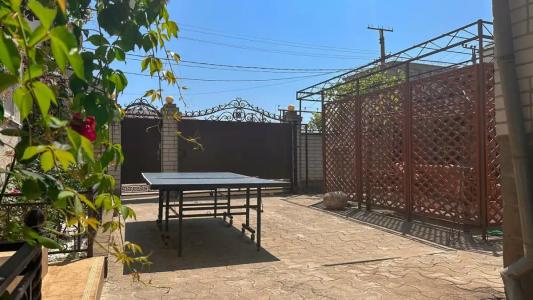 Дельфиния - 11