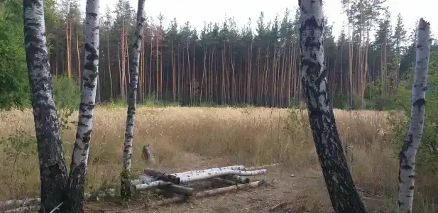Замок у Леса - 21