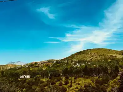 Layner Complex - 40