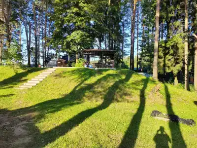 Зелёная роща - 12