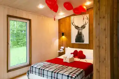 База отдыха на опушке - 94