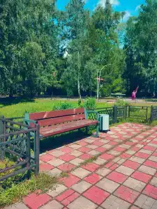 Лесное озеро - 0