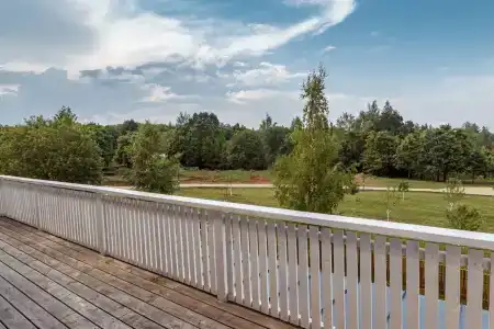 Ивы - 10