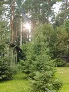Дом на озере с баней - 15