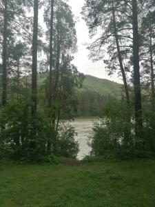 Катунь Парк - 33