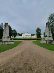 Новое Волосово - 88