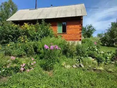 Тихий лог - 4