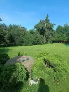 Рузмарин - 35