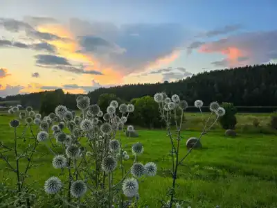 Ладожская Усадьба - 66