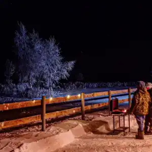 ПолеДом - 17