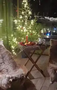 Хвойный Лес - 55