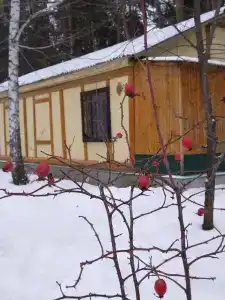 Лесная крепость - 56