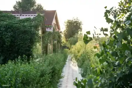 Поплавок - 55