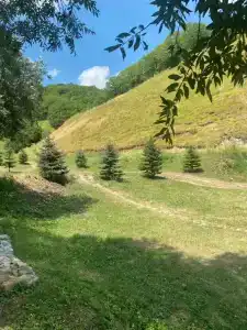 Лисья Нора - 70