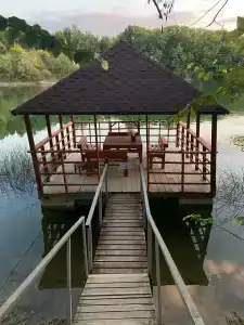 Родное - 10