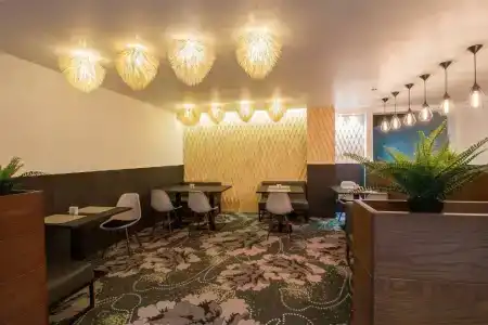 Sunflower by Zont - 99