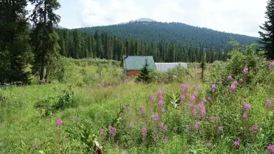 Хозяин Тайги - 31