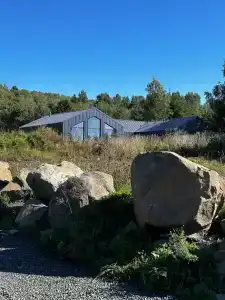 Лунный свет - 74