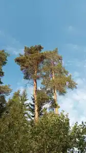 Фрегат - 30