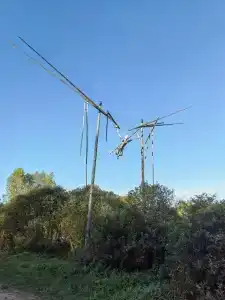 Signal - 32