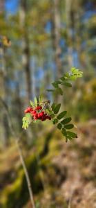 Абракадабра - 16