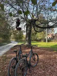 Мордасово - 40