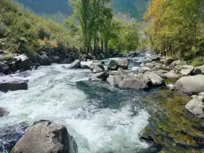 Куркуре - 26