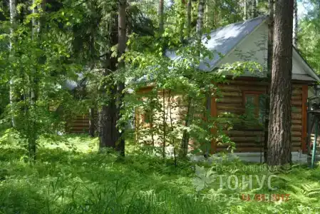 Тонус - 2