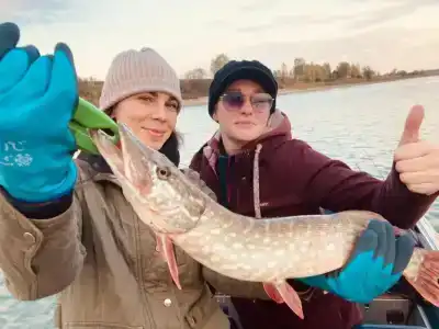 Соколино - 65