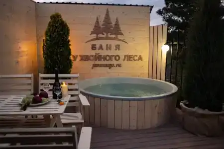 Баня у хвойного леса - 4
