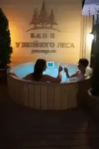 Баня у хвойного леса - 8