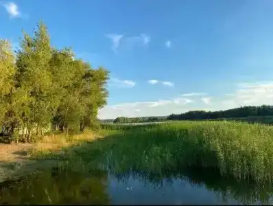 Тихое местечко - 5
