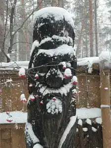 Дача Сосны-Лес - 22