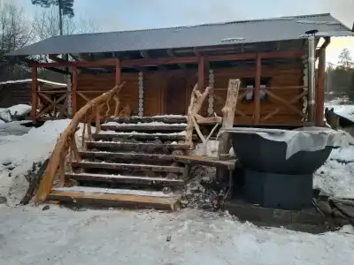 Львиное сердце - 15