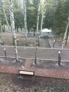 Автомобилист - 40