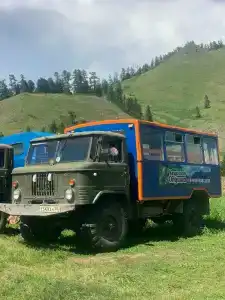 Кедровая опушка - 15