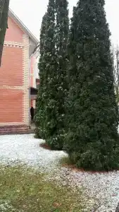 Гостиничный комплекс Мещерино Dme - 52