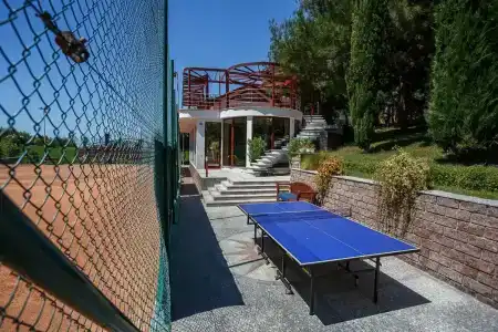 Вязовая роща - 82