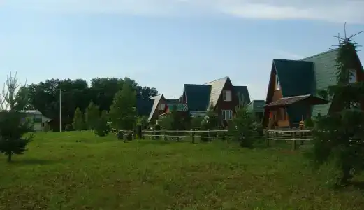 Кедр - 7