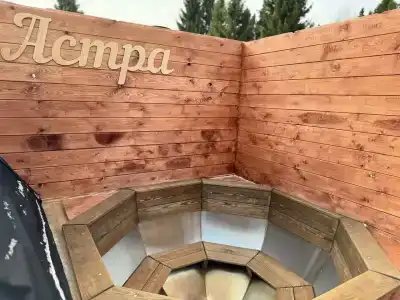 Астра - 38