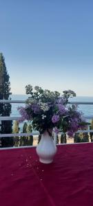 Пансионат Алмаз - 37