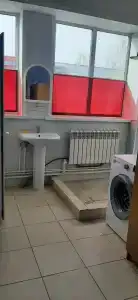 Дельфин - 5