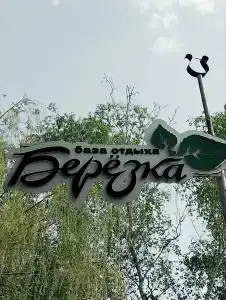 Березка - 13