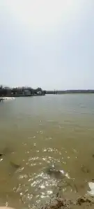Радужный - 44