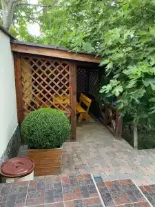 Олимпия - 6