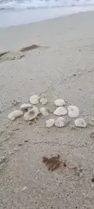 Chai Chet Resort Koh Chang - 45