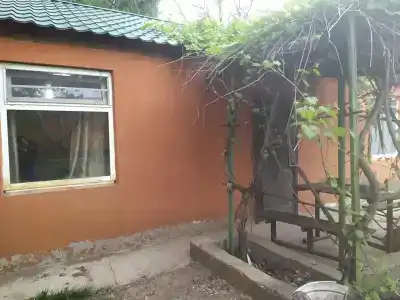 Дедушкин хутор - 81